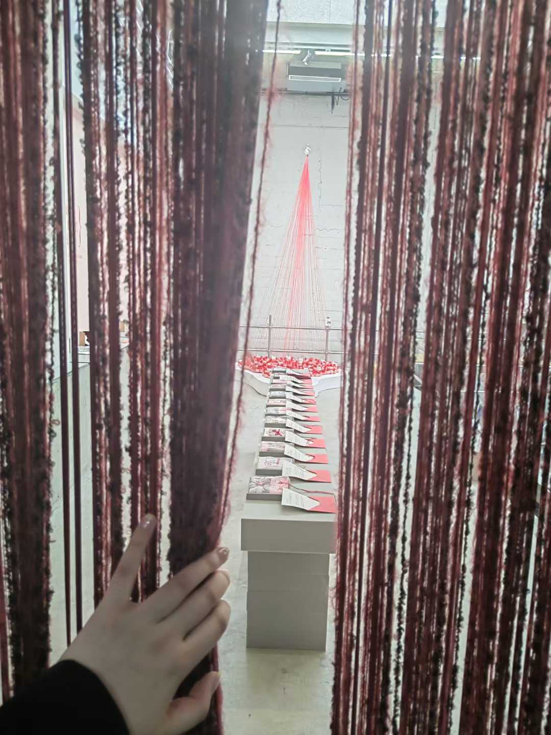 一些照片